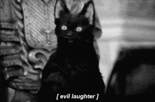 a black and white photo of a black cat with horns and the words evil laughter below it