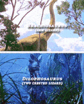 two pictures of dilophosaurus and brachiosaurus are shown in a collage