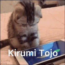 Danganronpa Cats Kirumi Tojo GIF