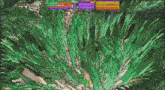 a computer screen shows a green and purple graphic