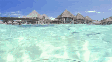 Mar Paraiso GIF - Tranquilidad Tranquilo Tranquila GIFs
