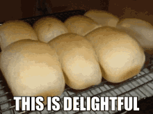 Blope Delightful GIF - Blope Delightful Bread Cat GIFs
