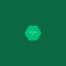 Breathe In Breathe Out Hexagon GIF - Breathe In Breathe Out Hexagon End Corruption With The For The People Act GIFs