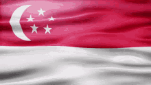 Singapore Flag Gif GIF