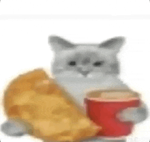 a cat is holding a cup of coffee and chips .