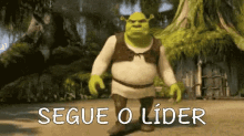 Segue O Líder GIF - Shrek Follow Leader GIFs