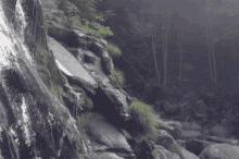 Water Flowing GIF - Water Flowing Mountain GIFs