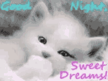 Good Night Sweat Dreams GIF - Good Night Sweat Dreams GIFs
