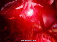 a close up of a woman 's hand with the words " and i want you to leave " visible