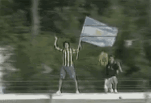 Bandera De Argentina 25 De Mayo GIF - Argentina Caida Fail GIFs