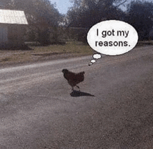 a chicken standing on the side of the road with a thought bubble that says i got my reasons .
