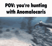 Anomalocaris Hunting GIF