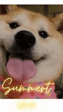 Dogecoin Doge Meme GIF - Dogecoin Doge Meme Summertime GIFs