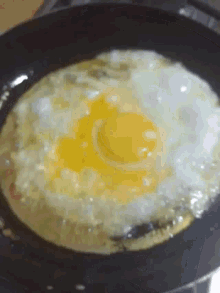 Egg Cook GIF