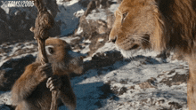 Mufasa The Lion King GIF - Mufasa The Lion King Walt Disney Studios Motion Pictures GIFs