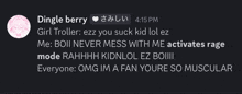 a screenshot of a conversation between dingle berry and a girl troller