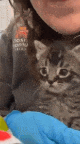 a woman is holding a kitten in her arms while wearing a shirt that says ' nosi ' on it