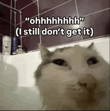 a cat in a bathtub with a caption that says " ohhhhhhhh "