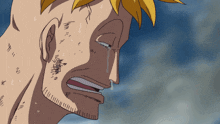 Marco One Piece GIF - Marco One Piece Crying GIFs