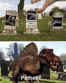 a t-rex is standing in front of a cemetery with graves for indominus rex