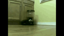 Food Now? GIF - Cats Hungry Attack GIFs