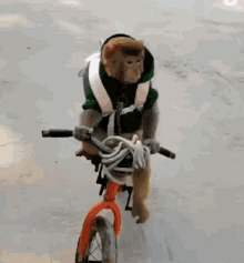 backtoyourlovin-monkey.gif
