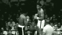 The Punch GIF - Muhammad Ali Punch Boxing GIFs
