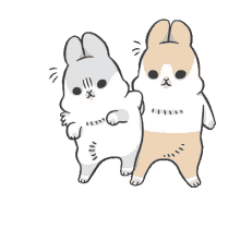 a couple of rabbits are standing next to each other on a glass wall .