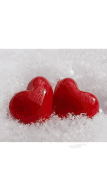 Heart In Love GIF - Heart In Love Saquinon GIFs