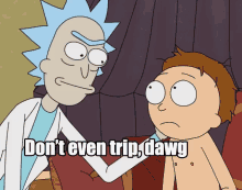 Dont Trip Dawg GIF - Dont Trip Dawg Rick And Morty GIFs