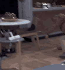 a dog is playing with a toy in a room