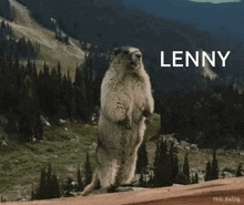 a marmot standing on its hind legs with the name lenny written on the bottom