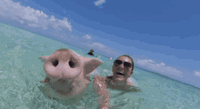 I Want To Post Pigs For Propane GIF