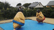 Sumo Funny Sumo GIF - Sumo Funny Sumo Fall GIFs