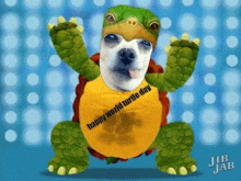 happy world turtle day doggy turtle dance