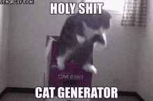 cat generator cat generator holy shit cute cat
