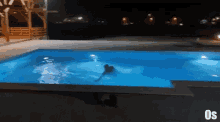 Denis Matija Cuoresportivo Swim GIF - Denis Matija Cuoresportivo Swim Pool GIFs
