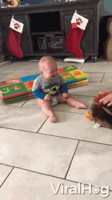 Laughing Giggling GIF - Laughing Giggling Cute Kid GIFs