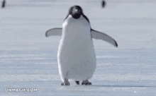 Run Away Penguin GIF - Run Away Penguin GIFs