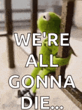 kermit the frog is sitting on a railing with the words `` we 're all gonna die '' written on it .