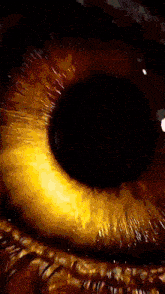 a close up of a person 's eye with a black pupil .
