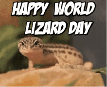 World Lizard Day Happy World Lizard Day GIF - World Lizard Day Happy World Lizard Day GIFs