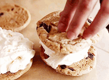 Ice Cream Sandwich Cookie Sandwich GIF - Ice Cream Sandwich Cookie Sandwich Ice Cream GIFs
