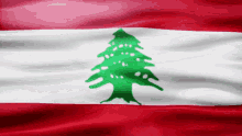 Lebanon Flag Gif GIF - Lebanon Flag Gif Asia GIFs