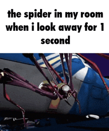 a spider in a room with the words " the spider in my room when i look away for 1 second " above it
