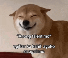 a dog is smiling with its eyes closed and the words `` among talent mo '' written above it .