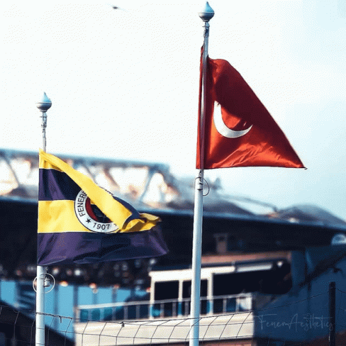 fener-aesthetics-fenerbah%C3%A7e.gif