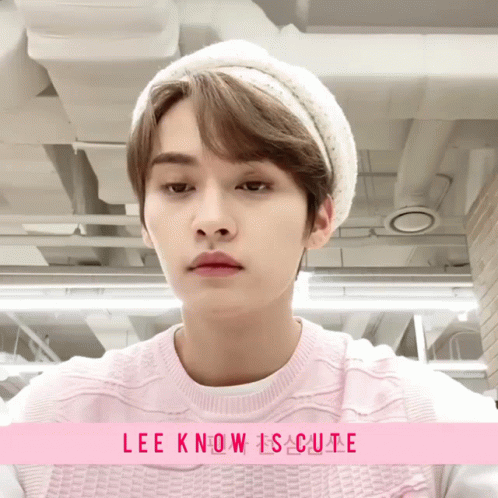 Lee Know Is Cute Lee Know Cute GIF - Lee Know Is Cute Lee Know Cute Lee Know  Cat - Discover & Share GIFs