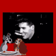 Amor Elvis Presley GIF