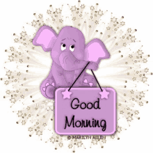 Good Morning Elephant GIF - Good Morning Elephant Blink GIFs